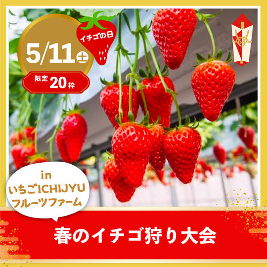 【20枠限定】春のイチゴ狩り大会