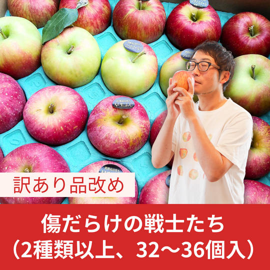 【訳あり品改め】傷だらけの戦士たち（2種類以上、32～36個入） 
