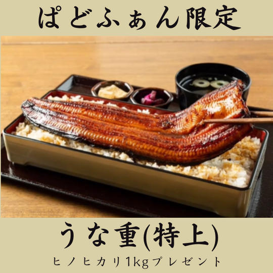 【お店で堪能】うな重　特上（一尾）