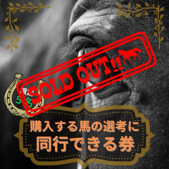 ５名限定！購入する馬の選考に同行できる券