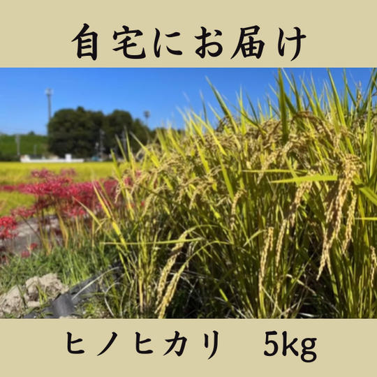 【自宅へお届け】自家栽培の富田林産ヒノヒカリ　5kg