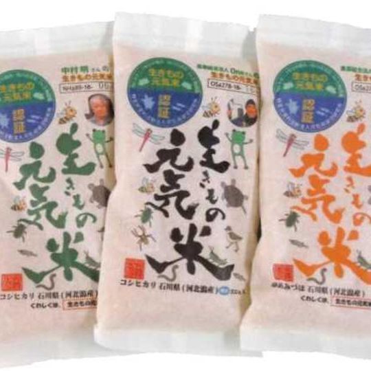 【プラン1】生きもの元気米食べ比べ3点セット