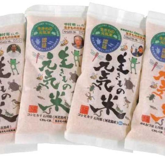 【プラン2】生きもの元気米食べ比べ4点セット