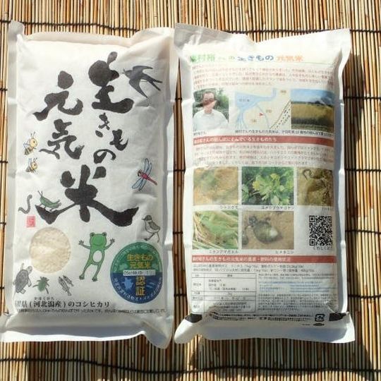 【プラン3】生きもの元気米2kg(白米)