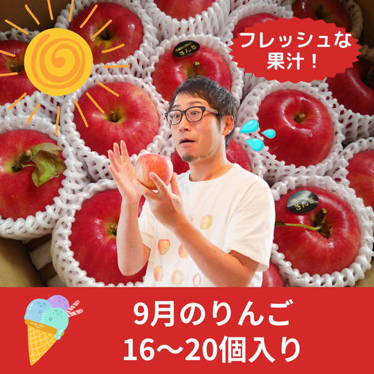 9月のりんご 5㎏（16～20個入り）【超フレッシュ】