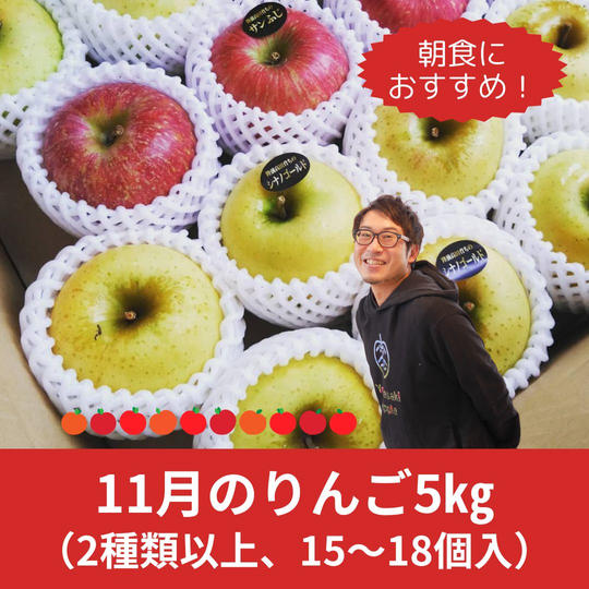 11月のりんご5㎏（2種類以上、15～18個入）