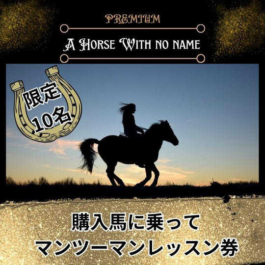 まだ見ぬ購入馬に乗ってマンツーマンレッスン