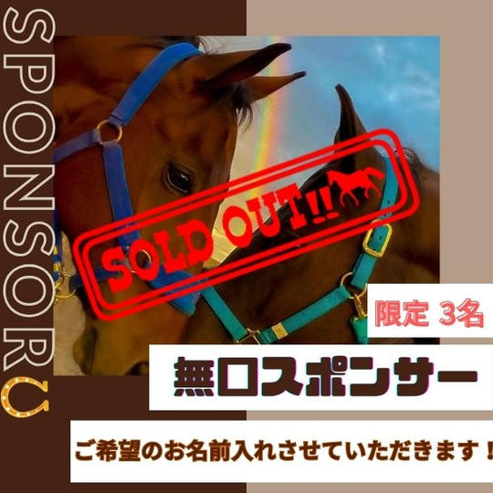 馬の無口（ホルター）スポンサー