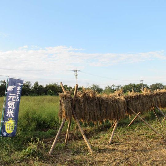 【プラン10】生きもの元気米・稲刈り体験(金沢市二日市または津幡町吉倉)