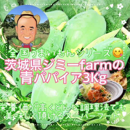 茨城県ジミーFarmの青パパイヤ３㎏