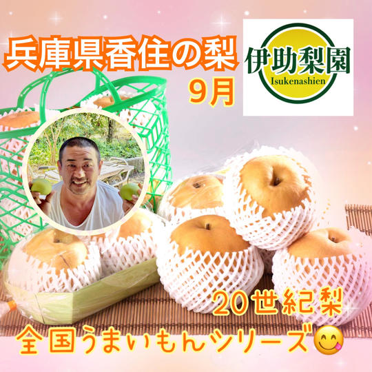 兵庫県の二十世紀梨３㎏