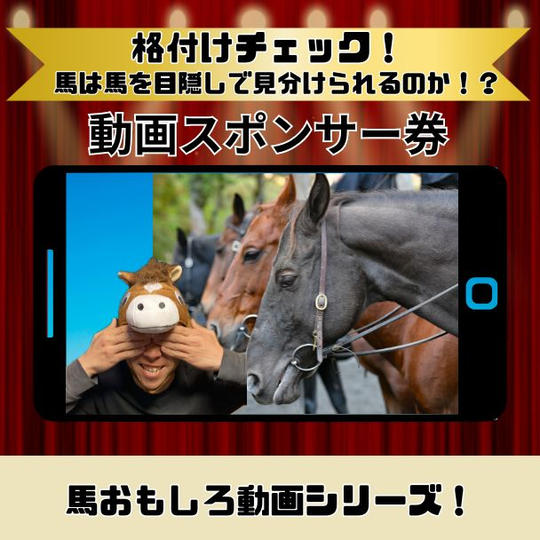『格付けチェック！馬（私）は馬（動物）を目隠しして見分けられるのか！？』動画スポンサー券