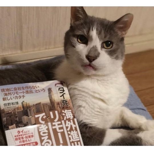 限定版！タイ進出入門本＋事業モデル参考リスト