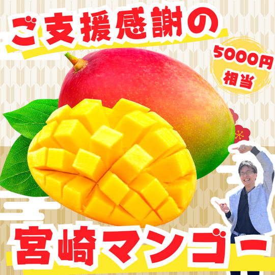 感謝の宮崎マンゴー2個セット
