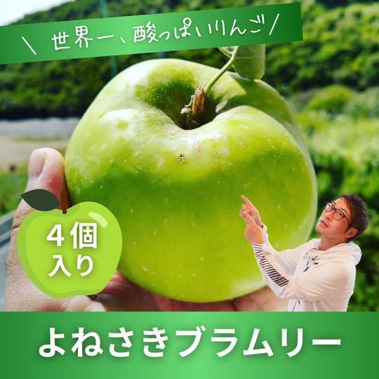 【世界一酸っぱいりんご】ブラムリー　４個入り