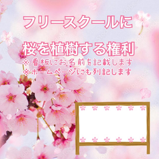 フリースクールに桜を植樹する権利２