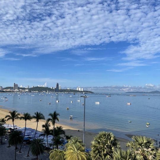 たっぷり個別相談付き、タイ現地シラチャ＆パタヤ視察！