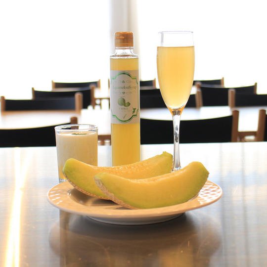 千葉県産フルーツシロップ２本セット★アクアメロン★