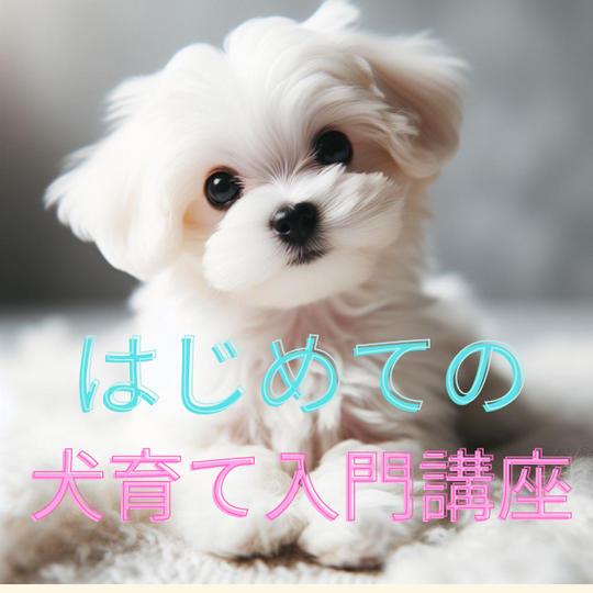 【はじめての犬育て 入門講座】
