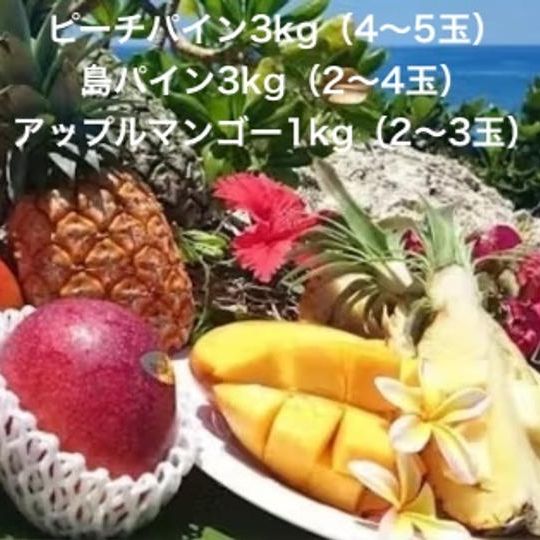 【おすすめセット】沖縄西表島のパイン・マンゴー定期便