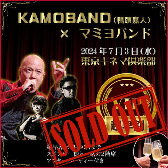 VIP席参加権（超早割り） ※4月末までの販売