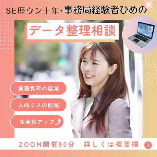 SE歴ウン十年・事務局経験者ひめのデータ整理相談zoom90分
