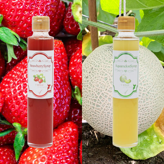 千葉県産フルーツシロップ２本セット★苺とアクアメロン★