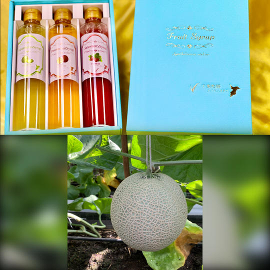 【GIFTBOX入り】千葉県産フルーツシロップ３本セットとアクアメロン翠光（すいこう）の特別セット