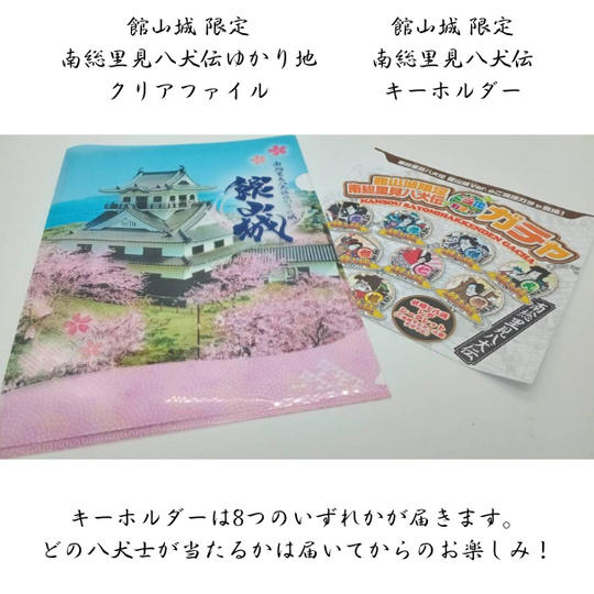 館山城 クリアファイルセットコース