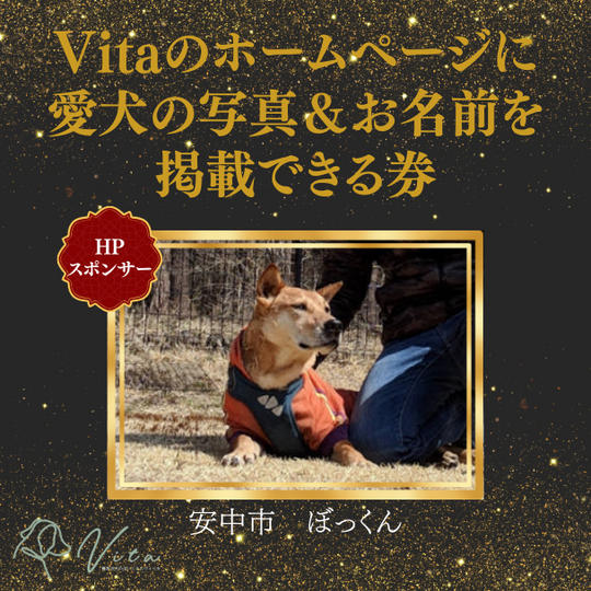 愛犬の写真&お名前を軽井沢犬のほいくえんVitaのHPに掲載できる権