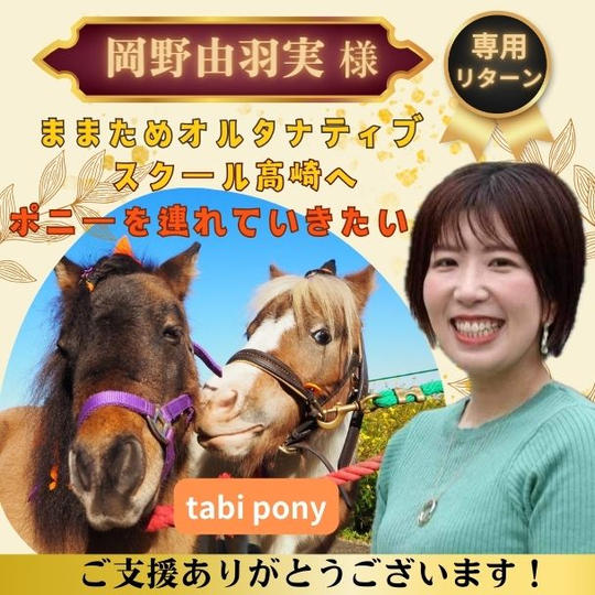 【岡野由羽実様専用】ままためオルタナティブスクール高崎へポニーを連れていきたい