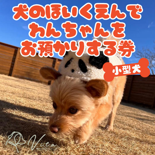 【小型犬】佐久浅間校で日中デイ預かりできる権