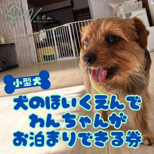 【小型犬用】犬の保育園でお泊り出来る権