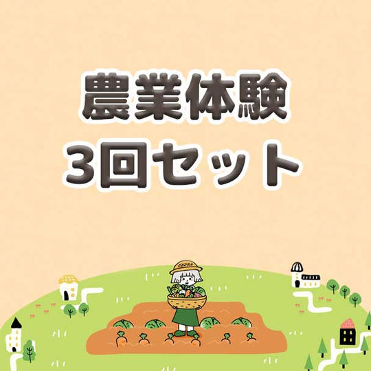 農業体験3回セット
