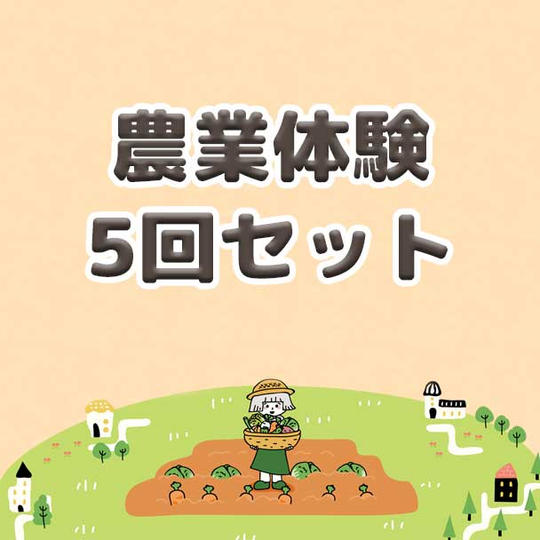 農業体験5回セット