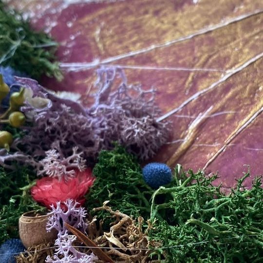 アート作品 【 tsume  tsume  】× ボタニーペインティング