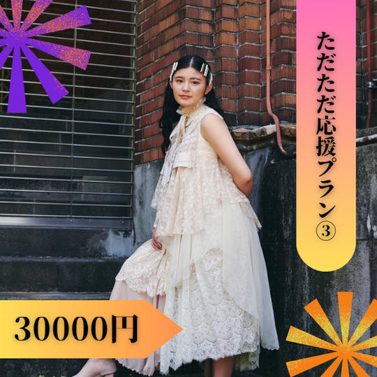 ただただ応援したいプラン③