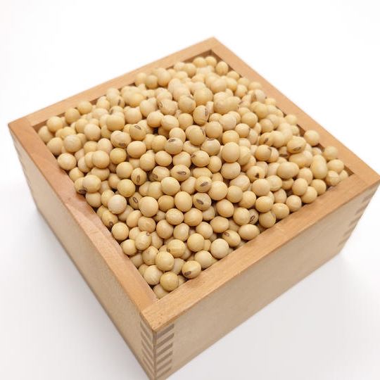 借金なし大豆5ｋｇ