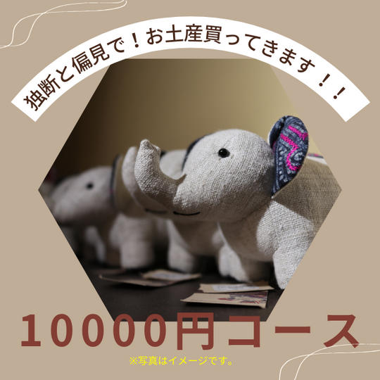 独断と偏見でベトナムお土産買ってきます。10000円コース