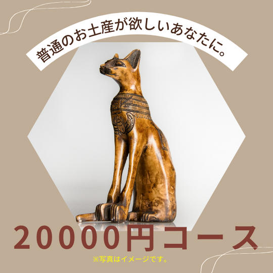 普通のお土産買ってきます。20000円コース