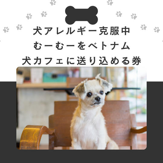 犬アレルギー克服中のむーむーを犬カフェに行かせてLIVE配信させる権