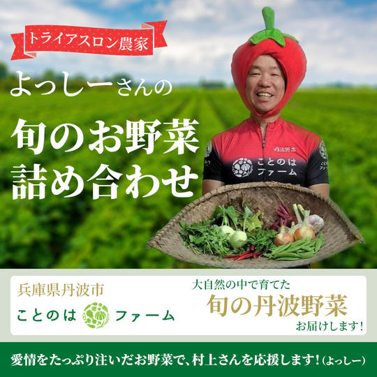 トライアスロン農家 よっしーさんの旬のお野菜詰め合わせ