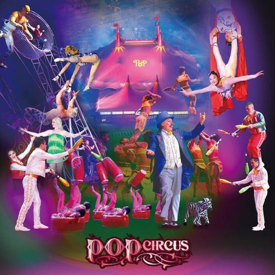 【S席・大人】神戸公演 サーカス鑑賞チケット