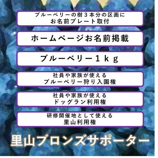 里山ブロンズサポーター権