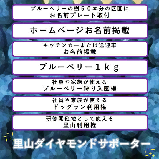 里山ダイヤモンドサポーター権