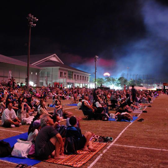 花火席確約券(イス1席分)& お楽しみ券 & どんちゃん手ぬぐいセット