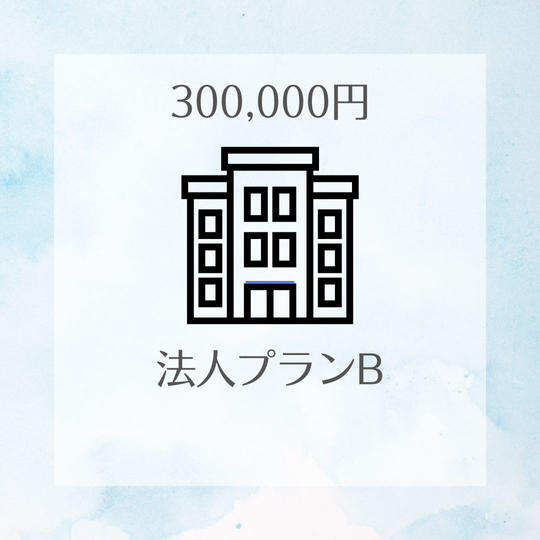 300,000円プラン<法人プランB>