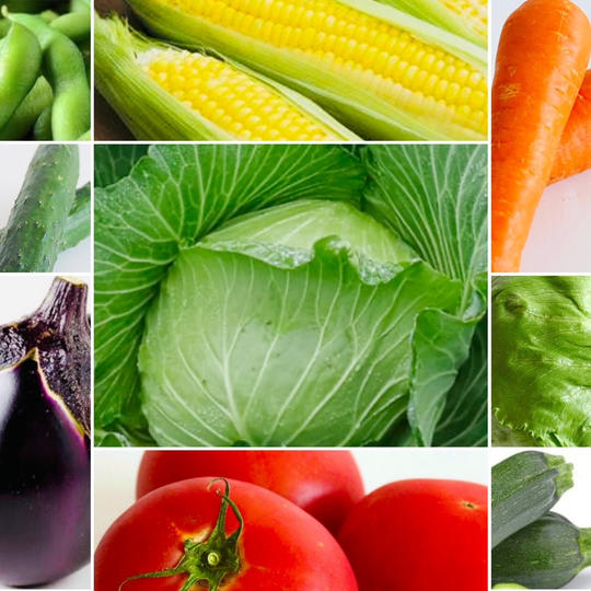 【朝採れ直送】「幻のキャベツ４１９」＋高原野菜５種セレクト