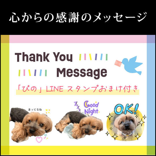 心からの感謝のメッセージ