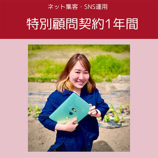 【特別価格】WEBマーケティングのプロが商品設計から集客・販売までの全てを無制限にアドバイスします